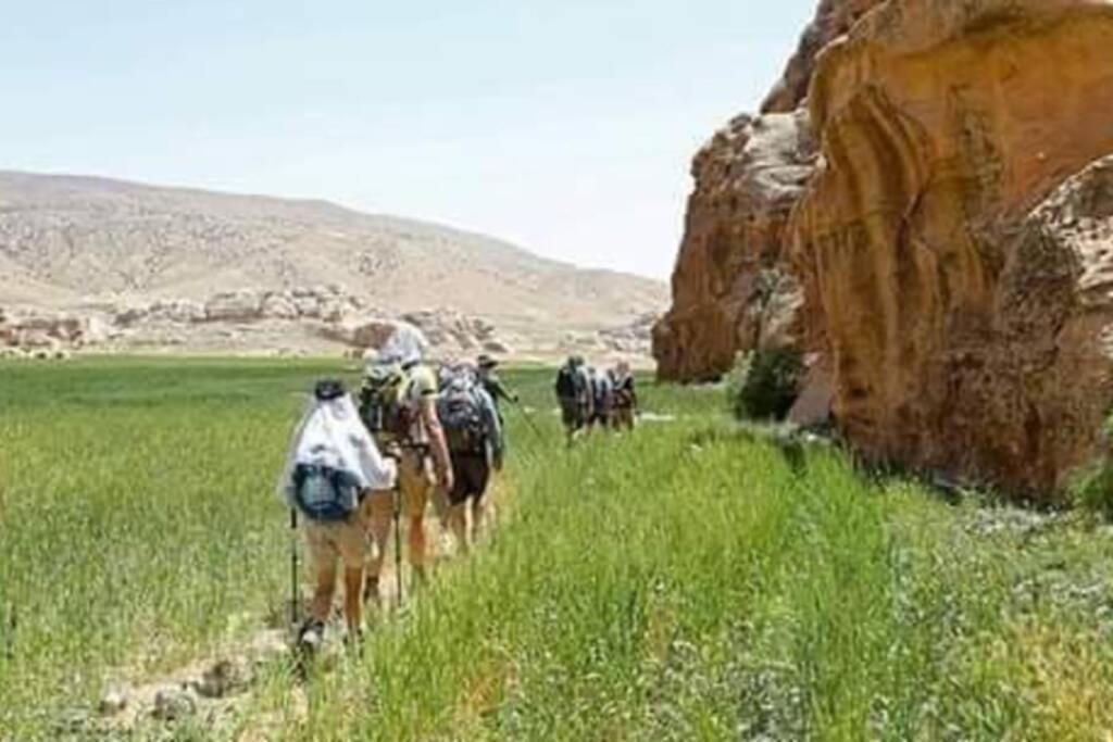 Bedouin Nature Travels Wadi Musa Exteriör bild