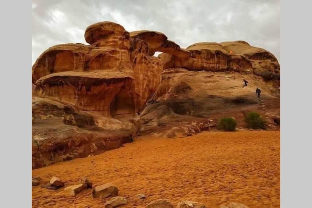 Bedouin Nature Travels Wadi Musa Exteriör bild