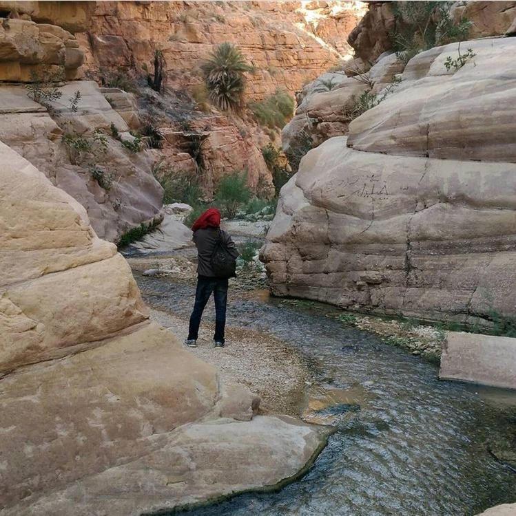 Bedouin Nature Travels Wadi Musa Exteriör bild