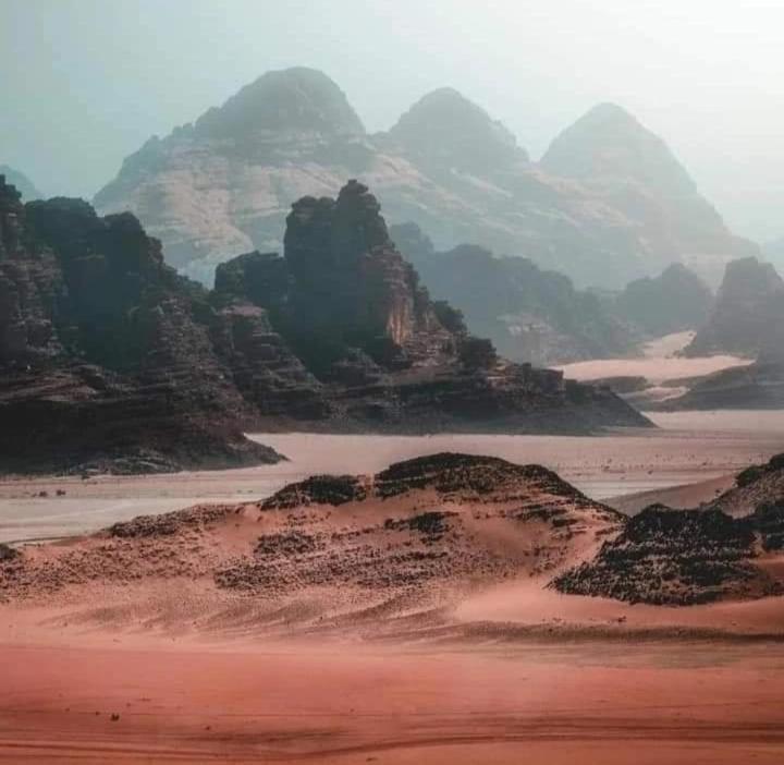 Bedouin Nature Travels Wadi Musa Exteriör bild
