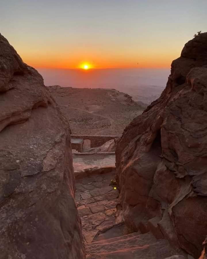 Bedouin Nature Travels Wadi Musa Exteriör bild