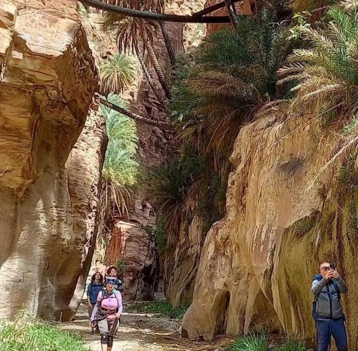 Bedouin Nature Travels Wadi Musa Exteriör bild
